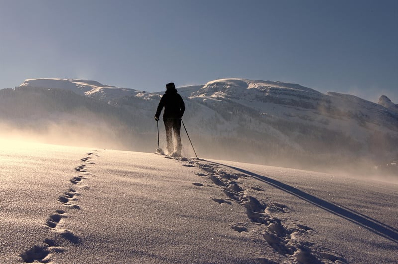 Trekking Poles